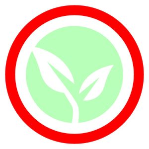 Environmentally friendly organic disinfectant